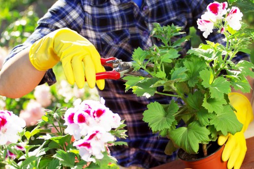 Gardener trimming a suburban hedge in Yeading with hedge trimmers and safety gear